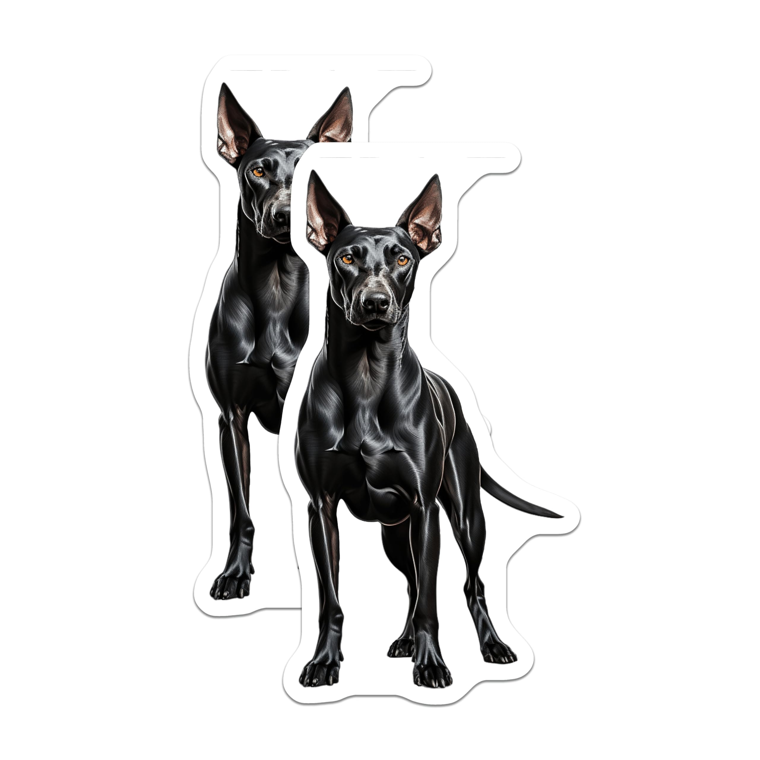 (2 Pack) Black Doberman Dog Magnets - Pet Parent Home Decor - Dog Breed Appreciation - 5 Inches On Longest Side - Thick Durable Magnet - Made in USA - MAG29140