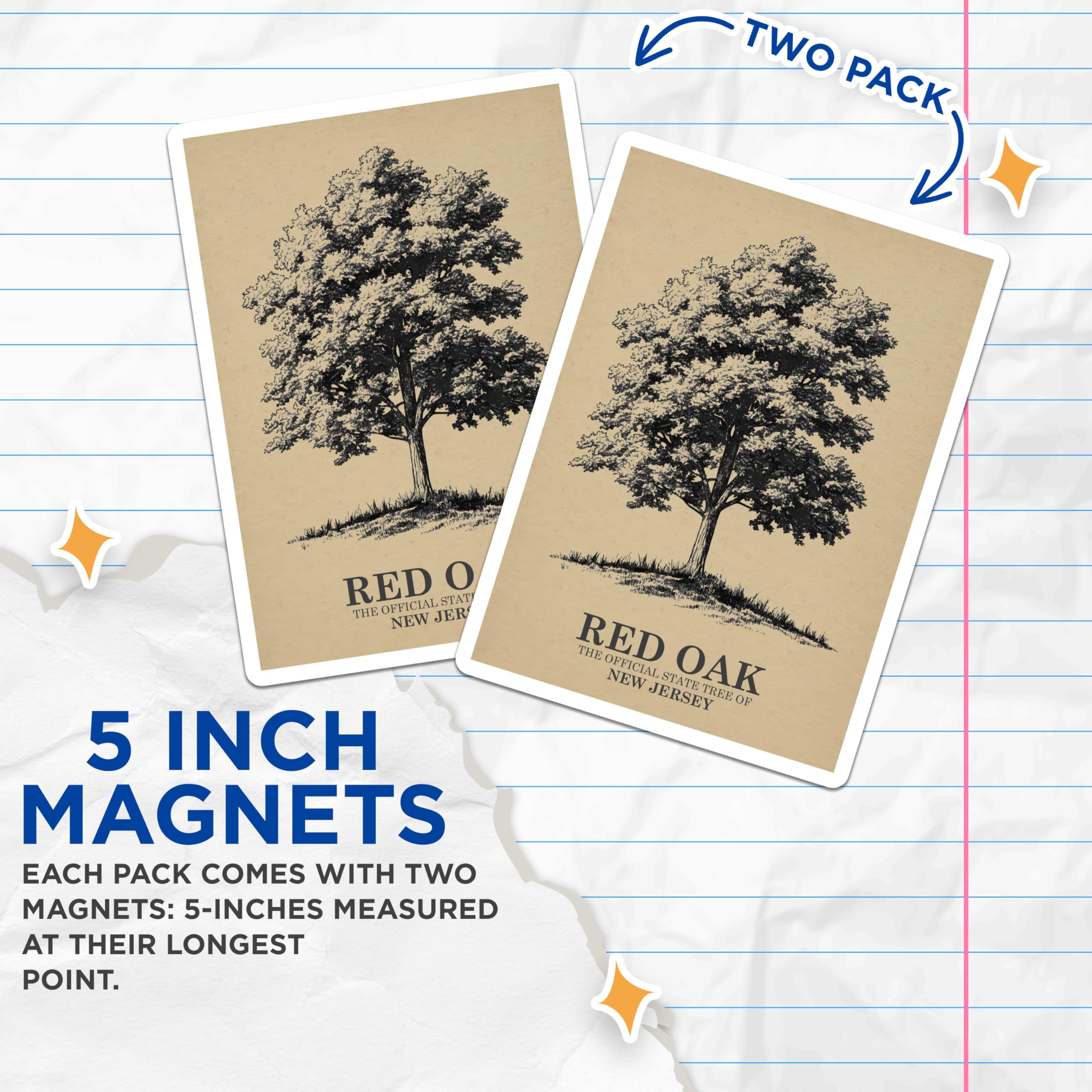 (2 Pack) Red Oak Tree Magnets - New Jersey Official State Tree - Botanical Illustration Magnets - Nature Lover Decor for Home - 5 Inches On Longest Side - Thick Durable Magnet - Made in USA - MAG19257