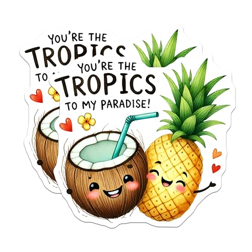 (2 Pack) Funny Tropical Fruit Stickers - Coconut and Pineapple Design - Cute Tropical Theme Stickers for Laptop - 5" On Longest Side - Sticks to Smooth Flat Surfaces - Made in USA - BMCS6066