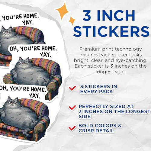 (3 Pack) Grumpy Cat Decals - Oh Youre Home - Lazy Cat Laptop Decal - 3 Inches On Longest Side - Easy Peel & Apply - Made in USA - 3MCS7786