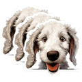 (3 Pack) Goldendoodle Decals - Laptop Decals - Cute Dog Stickers - 3 Inches On Longest Side - Easy Peel & Apply - Made in USA - 3MCS8621