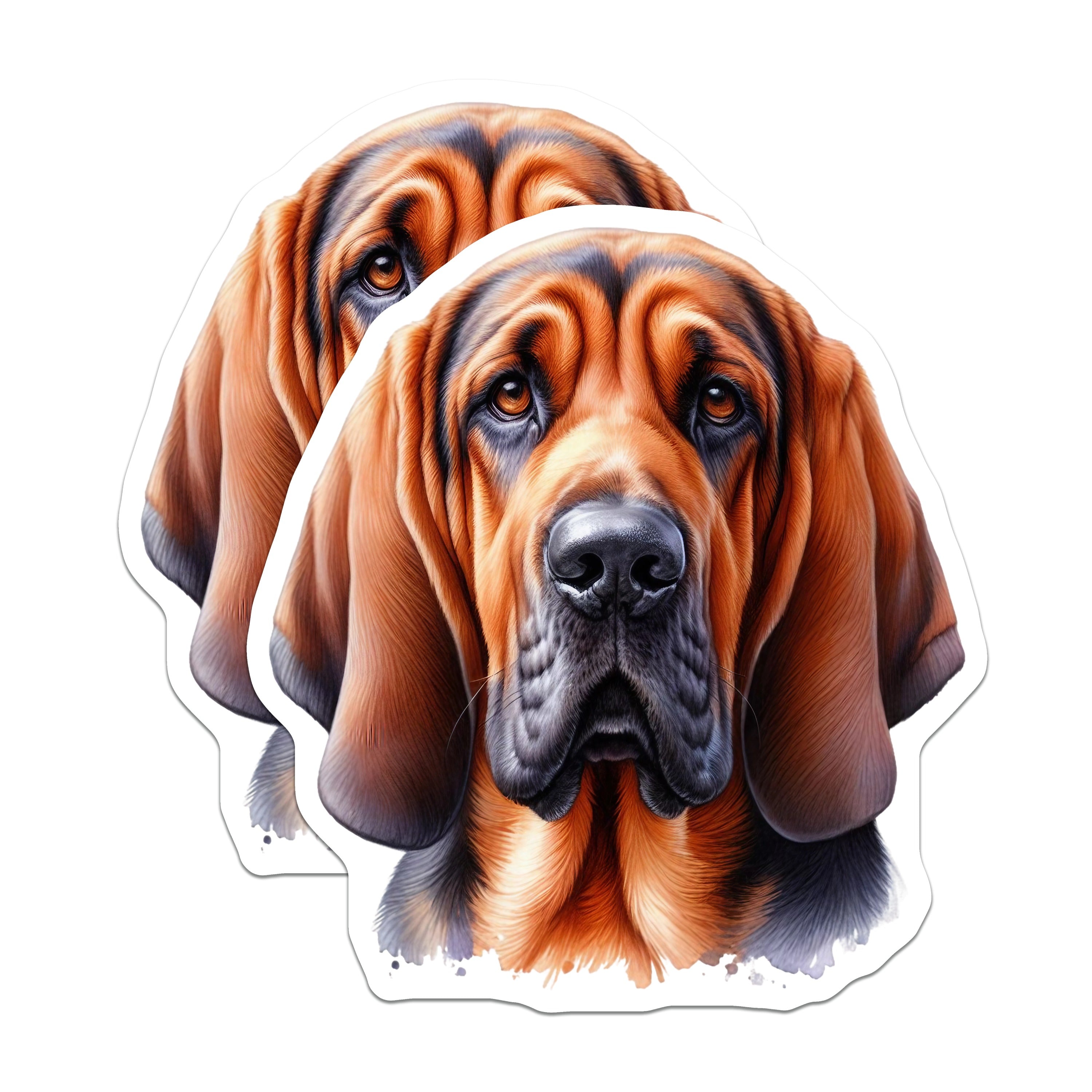 (2 Pack) Bloodhound Dog Magnets - Realistic Canine Portrait - Pet Lover Refrigerator Decor - Dog Parent Appreciation - 5 Inches On Longest Side - Thick Durable Magnet - Made in USA - MAG36406