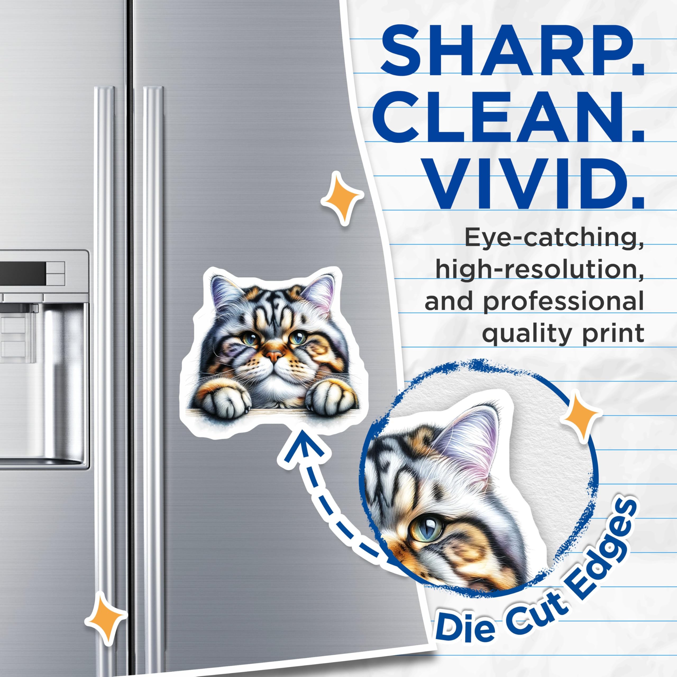 (2 Pack) Cat Magnets - Funny Cat Portrait - Fridge Magnets - 5" On Longest Side - Premium Magnet - for Cars, Refrigerators, Toolboxes, Lockers - Made in USA - MAG15115