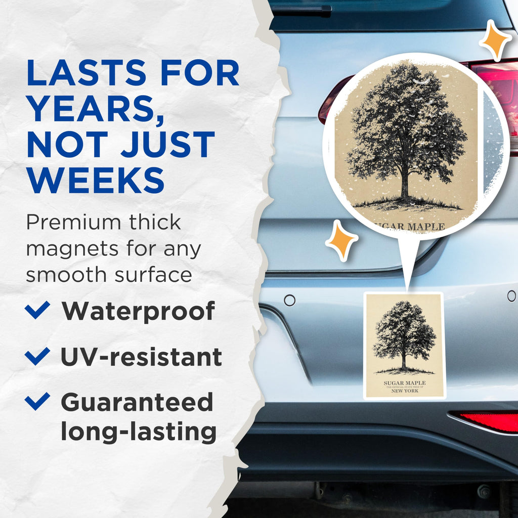Sugar Maple Tree Art T-Shirt, New York State Tree, Botanical Tee, Nature Lover Gift, Magnet - 5" On Longest Side - Premium Magnet - for Cars, Refrigerators, Toolboxes, Lockers - Made in USA - MAG18453