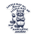 (2 Pack) Sarcastic Raccoon Magnets - Funny Little Ray Sunshine - Quirky Animal Fridge Decor - 5 Inches On Longest Side - Thick Durable Magnet - Made in USA - MAG38516