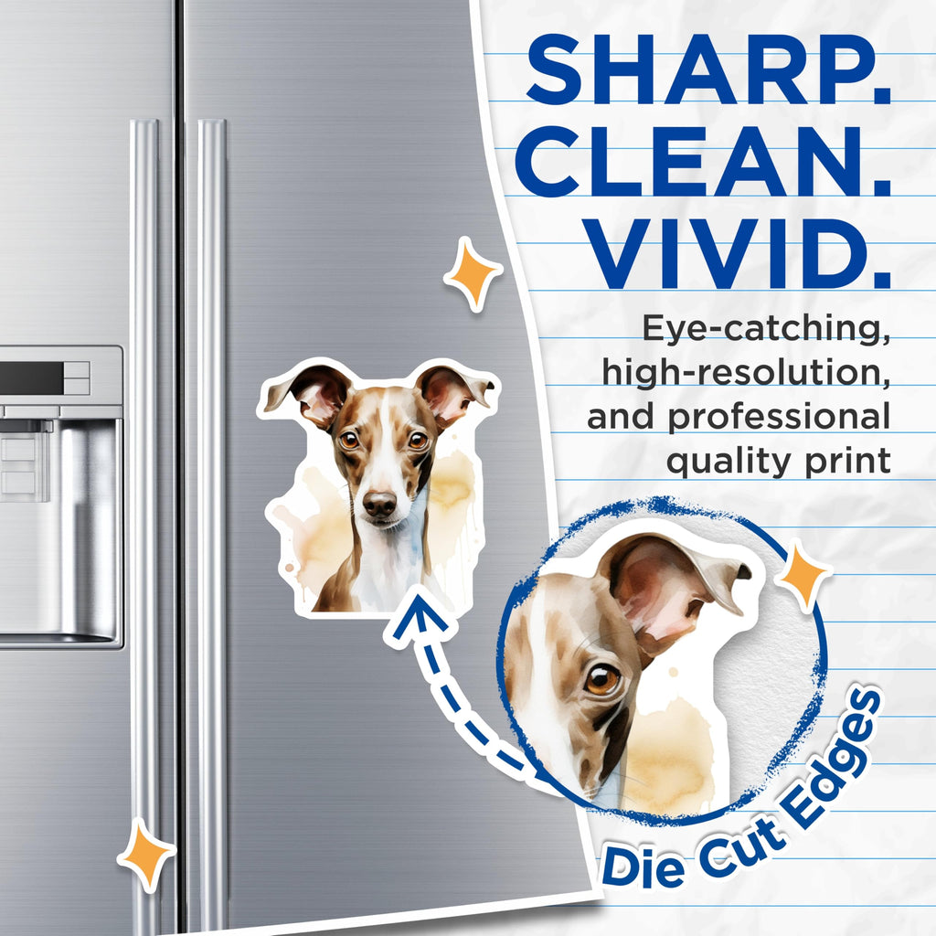 (2 Pack) Italian Greyhound Magnets - Watercolor Pet Portrait - Dog Breed Refrigerator Art - 5 Inches On Longest Side - Thick Durable Magnet - Made in USA - MAG28362