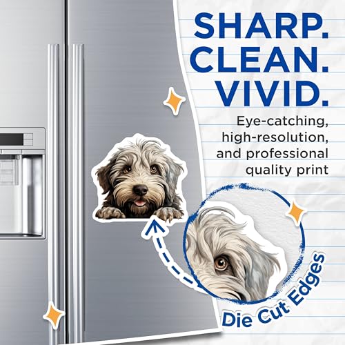 (2 Pack) Dog Lover's Fridge Decor Magnet - 5" On Longest Side - Sticks to Smooth Flat Surfaces - Made in USA - MAG9864