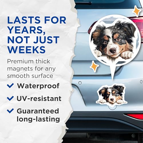 (2 Pack) Pet Lover Home Decor Magnet - 5" On Longest Side - Sticks to Smooth Flat Surfaces - Made in USA - MAG10226