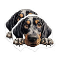 (2 Pack) Dog Lover Stickers - Cute Dog Art - Pet Lover Decals - 5" On Longest Side - Sticks to Smooth Flat Surfaces - Made in USA - BMCS9877