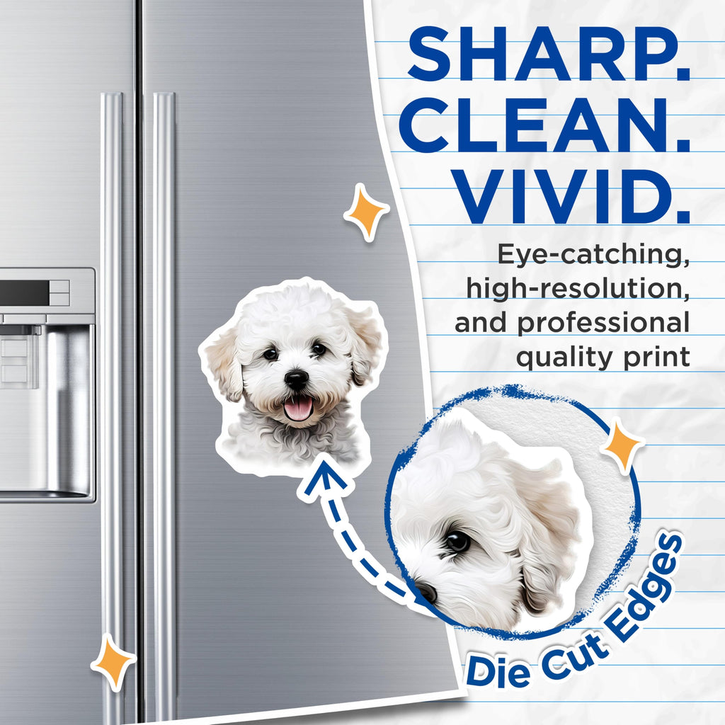 (2 Pack) Cute Fluffy Dog Magnets - Happy Puppy Refrigerator Decor - Bichon Poodle Dog Mom Dad - 5 Inches On Longest Side - Thick Durable Magnet - Made in USA - MAG28805