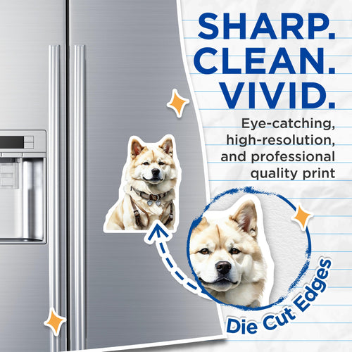 (2 Pack) Akita Dog Magnets - Watercolor Puppy Art - Refrigerator Cute Decor - 5" On Longest Side - Premium Magnet - for Cars, Refrigerators, Toolboxes, Lockers - Made in USA - MAG14994