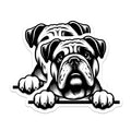 (2 Pack) Bulldog Magnets - Cute Dog Decor - Animal Lover Refrigerator Magnets - 5" On Longest Side - Premium Magnet - for Cars, Refrigerators, Toolboxes, Lockers - Made in USA - MAG14097
