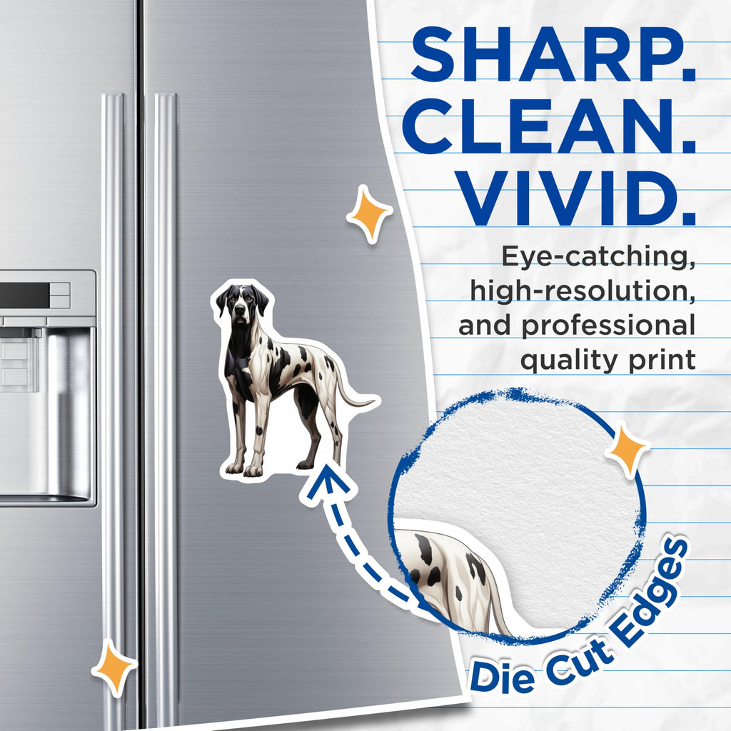 (2 Pack) Great Dane Dog Magnets - Harlequin Great Dane - Pet Lover Fridge Decor - Dog Mom Dad Appliance Magnet - 5 Inches On Longest Side - Thick Durable Magnet - Made in USA - MAG27003