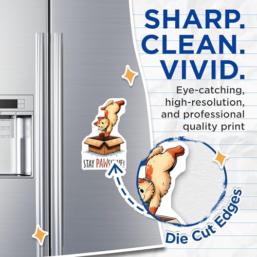 (2 Pack) Stay Pawsitive Cat Magnets - Inspirational Cat Magnets - Funny Cat Quotes Fridge Magnets - 5" On Longest Side - for Cars, Refrigerators, Toolboxes, Lockers - Made in USA BMCS3130