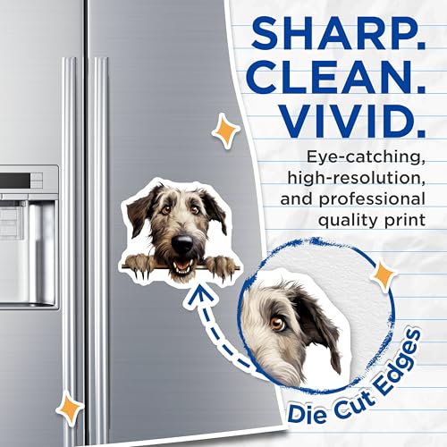 (2 Pack) Dog Art Decor Magnet - 5" On Longest Side - Sticks to Smooth Flat Surfaces - Made in USA - MAG10203