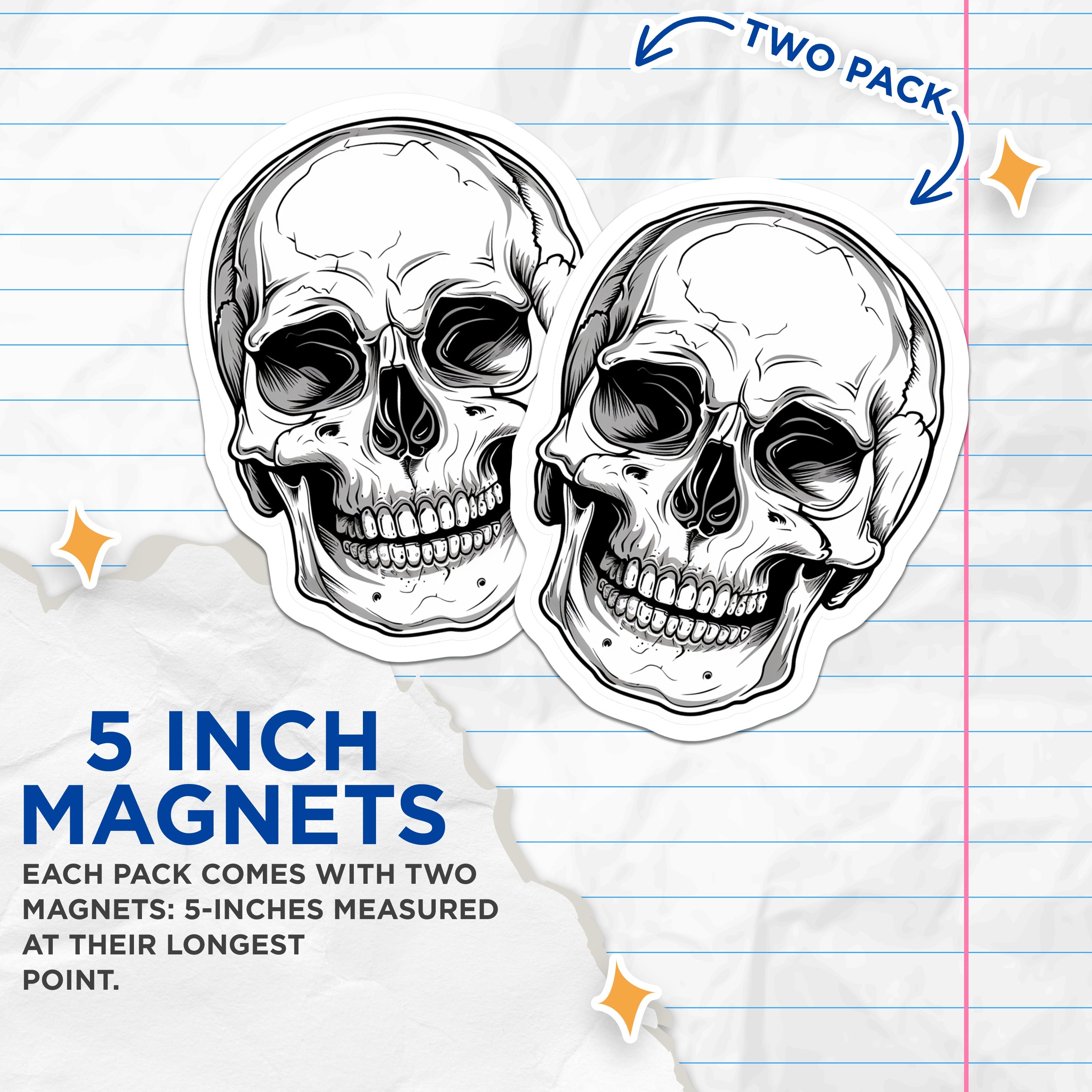 (2 Pack) Detailed Skull Magnets - Goth Decor - Biker Fridge Accents - Halloween Art Display - Anatomical Bone Illustration - 5" - Durable Magnet - Made in USA - MAG38174