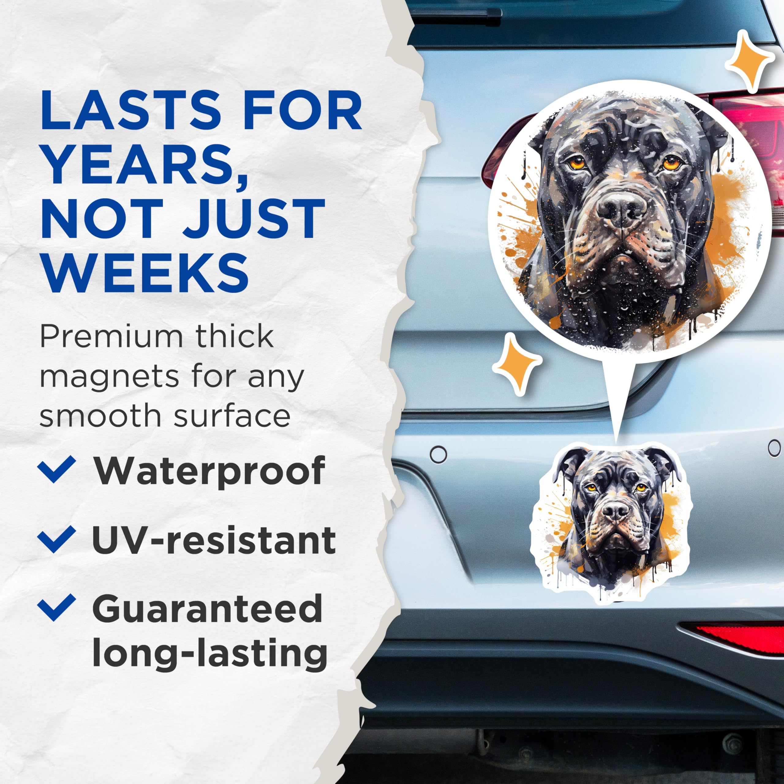 (2 Pack) Cane Corso Magnets - Dog Lover Decor - Pet Portrait Art - 5 Inches On Longest Side - Thick Durable Magnet - Made in USA - MAG30483