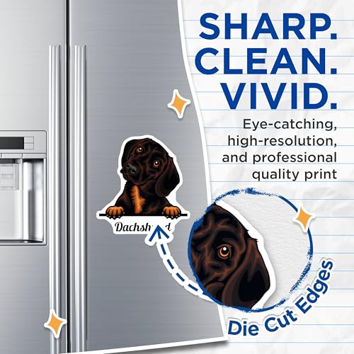 (2 Pack) Dachshund Dog Magnets - Cute Dachshund - Dog Lover Fridge Magnet - 5" On Longest Side - for Cars, Fridges, Toolboxes - Made in USA - MAG4217