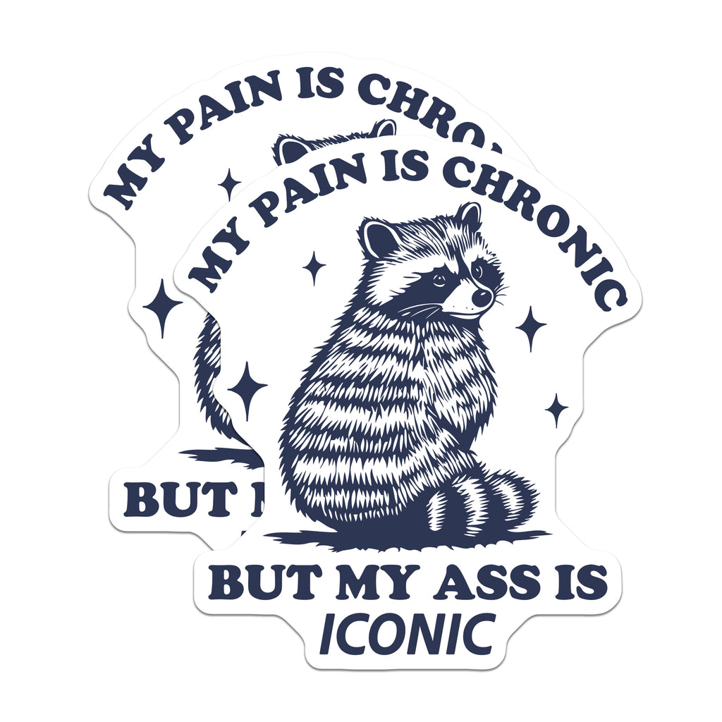 (2 Pack) Raccoon Chronic Pain Magnets - Iconic Ass Humor - Sarcastic Fridge Accent - 5 Inches On Longest Side - Thick Durable Magnet - Made in USA - MAG36431