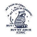 (2 Pack) Raccoon Chronic Pain Magnets - Iconic Ass Humor - Sarcastic Fridge Accent - 5 Inches On Longest Side - Thick Durable Magnet - Made in USA - MAG36431