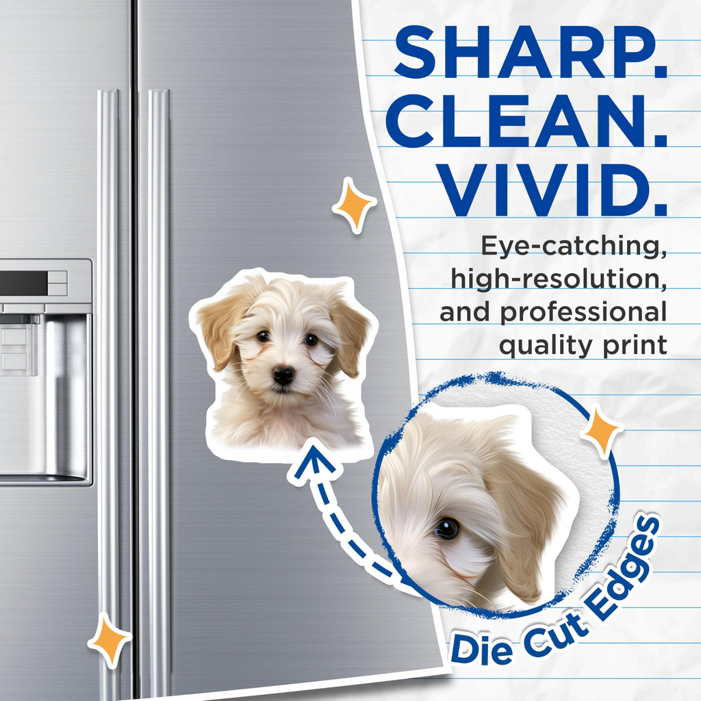 (2 Pack) Adorable Fluffy Puppy Head Magnets - Cute White Dog Refrigerator Decoration - Pet Lover Locker Home Decor - 5 Inches On Longest Side - Thick Durable Magnet - Made in USA - MAG24427