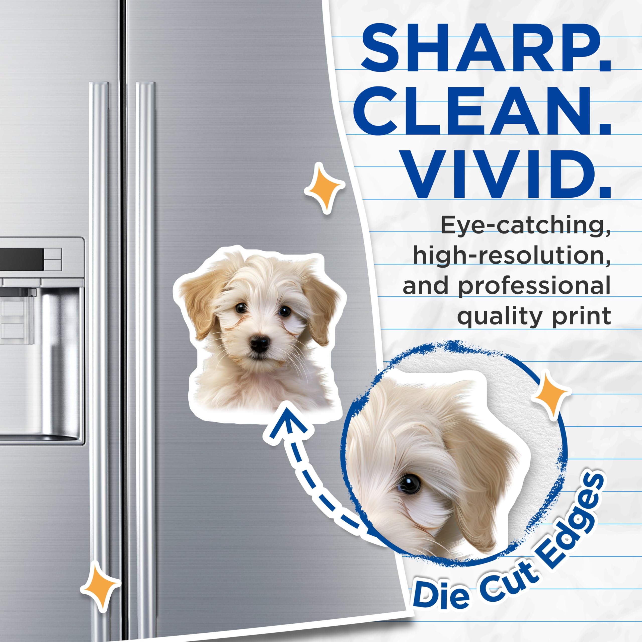 (2 Pack) Adorable Fluffy Puppy Head Magnets - Cute White Dog Refrigerator Decoration - Pet Lover Locker Home Decor - 5 Inches On Longest Side - Thick Durable Magnet - Made in USA - MAG24427