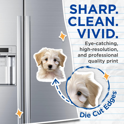 (2 Pack) Adorable Fluffy Puppy Head Magnets - Cute White Dog Refrigerator Decoration - Pet Lover Locker Home Decor - 5 Inches On Longest Side - Thick Durable Magnet - Made in USA - MAG24427