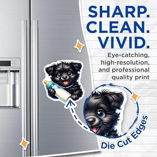 (2 Pack) Animal Refrigerator Decor Magnet - Fun Kitchen Accessories - 5" On Longest Side - Sticks to Smooth Flat Surfaces - Made in USA - MAG9594