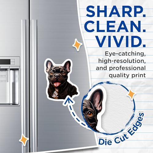 (2 Pack) French Bulldog Magnets - Cute Puppy Home - Dog Lover's Kitchen Accessories - Fridge and Locker Magnets - 5" On Longest Side - for Cars, Fridges, Toolboxes - Made in USA - MAG3931