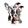 (2 Pack) Boston Terrier Puppy Magnets - Cute Dog Lover Home Accent - Pet Parent Refrigerator Decor - 5 Inches On Longest Side - Thick Durable Magnet - Made in USA - MAG26345