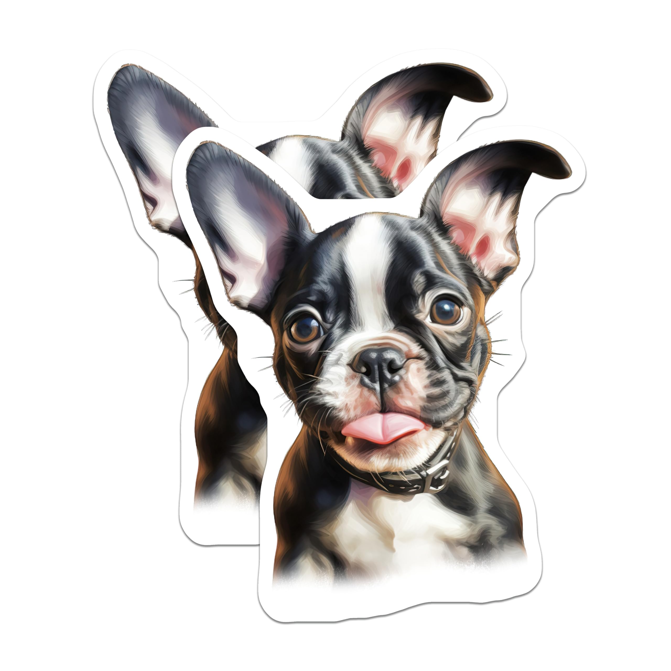 (2 Pack) Boston Terrier Puppy Magnets - Cute Dog Lover Home Accent - Pet Parent Refrigerator Decor - 5 Inches On Longest Side - Thick Durable Magnet - Made in USA - MAG26345