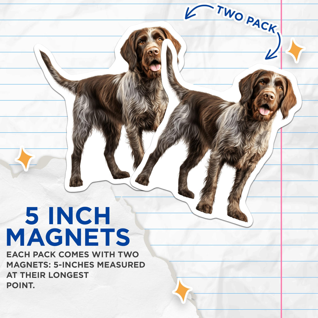 (2 Pack) German Wirehaired Pointer Magnets - GWP Dog Breed Art - Hunting Dog Lover Accents - 5 Inches On Longest Side - Thick Durable Magnet - Made in USA - MAG30138