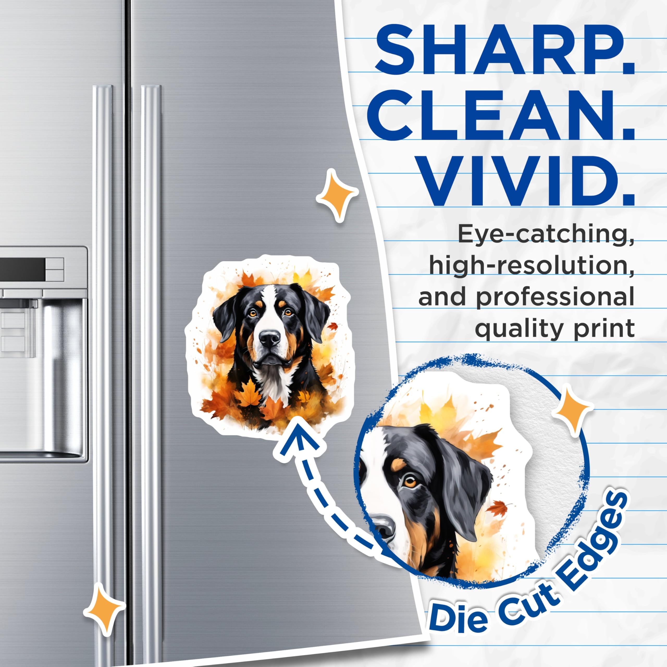 (2 Pack) Bernese Mountain Dog Magnets - Autumn Fall Dog Decor - Pet Refrigerator Items - 5 Inches On Longest Side - Thick Durable Magnet - Made in USA - MAG24693