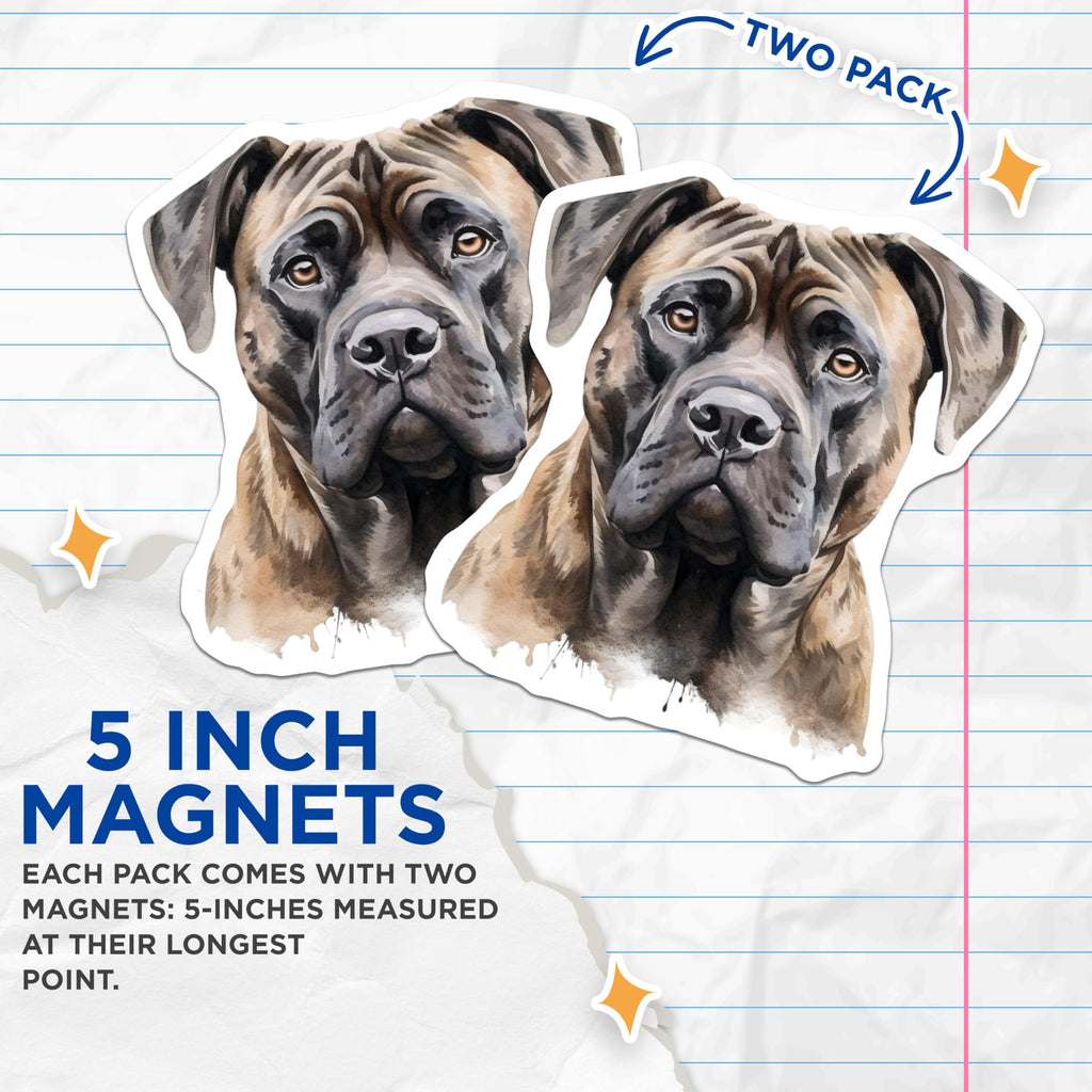 (2 Pack) Mastiff Dog Magnets - Watercolor Pet Art - Dog Owner Decor - 5 Inches On Longest Side - Thick Durable Magnet - Made in USA - MAG27449