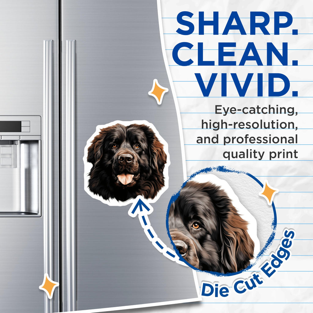 (2 Pack) Newfoundland Dog Magnets - Newfie Pet Owner Accessories - Large Breed Fridge Decor - Dog Mom Dad - 5 Inches On Longest Side - Thick Durable Magnet - Made in USA - MAG26898