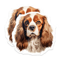 (2 Pack) Cavalier King Charles Magnets - Dog Lover Kitchen Decor - Pet Parent Fridge Art - 5 Inches On Longest Side - Thick Durable Magnet - Made in USA - MAG29258