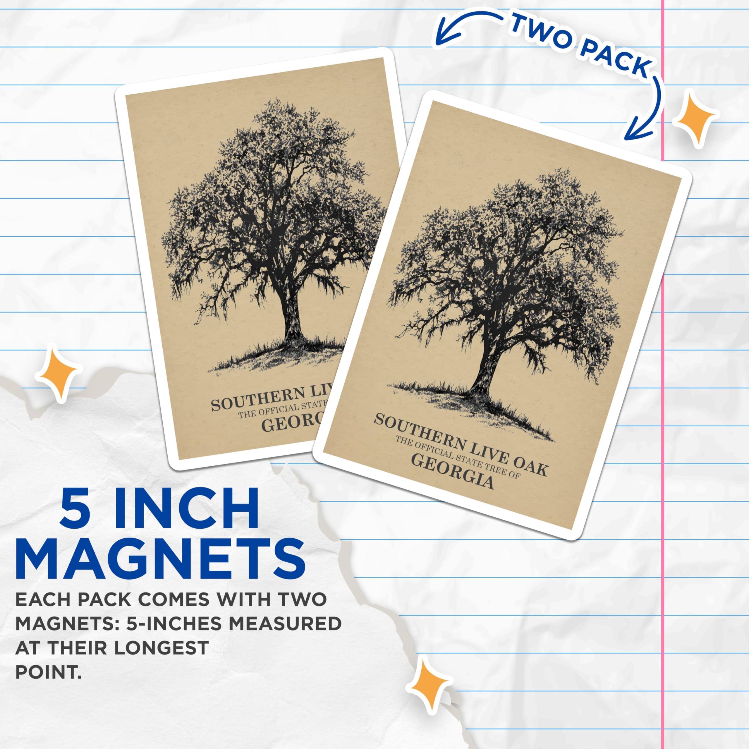 (2 Pack) Southern Live Oak Magnets - Georgia State Tree - Botanical Illustration Art - Nature Tree Sketch Decor - 5 Inches On Longest Side - Thick Durable Magnet - Made in USA - MAG19407