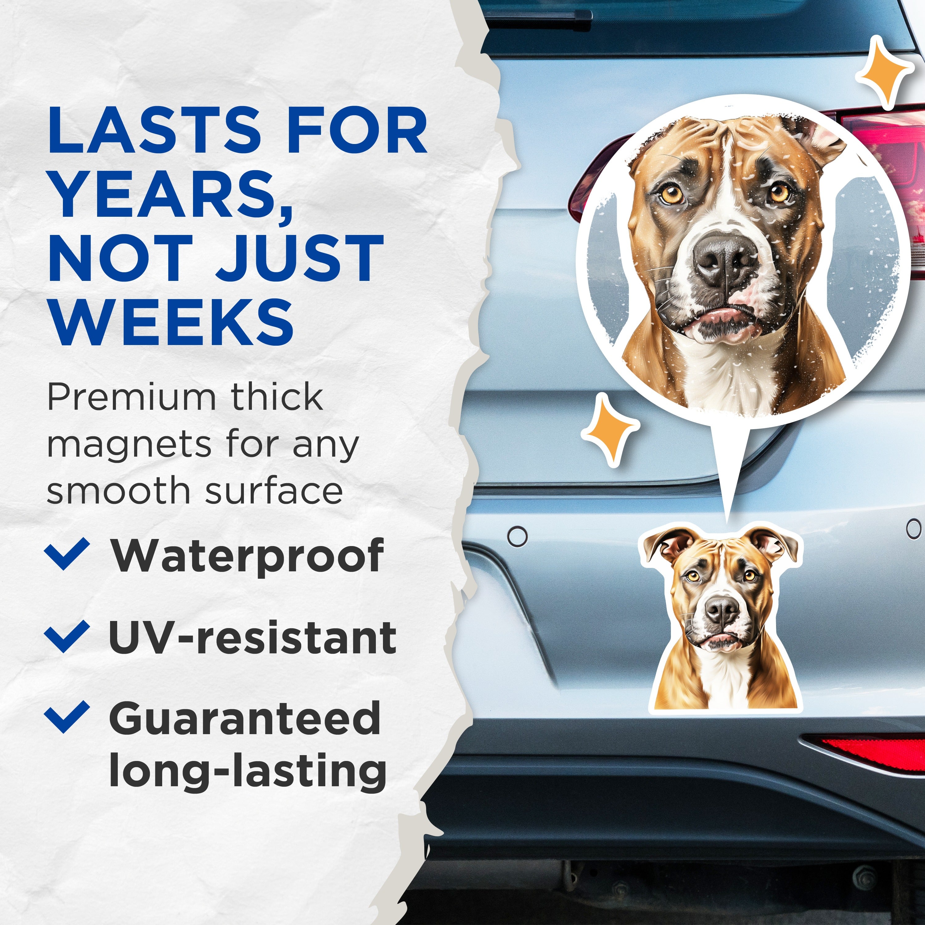 (2 Pack) Pit Bull Magnets - Realistic Dog Portrait - Bully Breed Art - Staffordshire Terrier - Pet Parent Decor - 5 Inches On Longest Side - Thick Durable Magnet - Made in USA - MAG38526