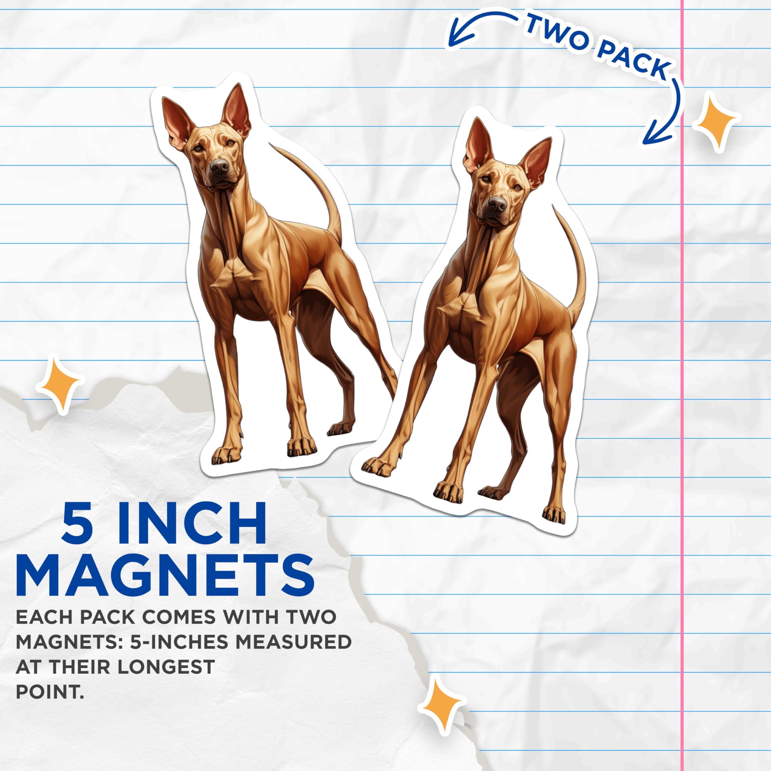 (2 Pack) Rhodesian Ridgeback Magnets - Dog Breed Lover Decor - Canine Art Home Accent - 5 Inches On Longest Side - Thick Durable Magnet - Made in USA - MAG25272