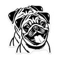 (2 Pack) Pug Dog Head Magnets - Cute Pet Illustration - Animal Lover Refrigerator Decor - 5 Inches On Longest Side - Thick Durable Magnet - Made in USA - MAG37452