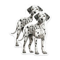 (2 Pack) Dalmatian Dog Magnets - Spotted Puppy Decor - Canine Pet Accessory - 5 Inches On Longest Side - Thick Durable Magnet - Made in USA - MAG24298