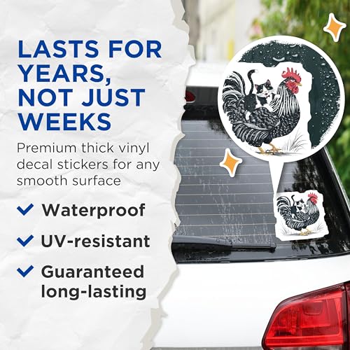 (2 Pack) Funny Chicken and Cat Stickers - Hilarious Farm Animal Decals - Quirky Pet Themed Stickers - 5" On Longest Side - Sticks to Smooth Flat Surfaces - Made in USA - BMCS5828