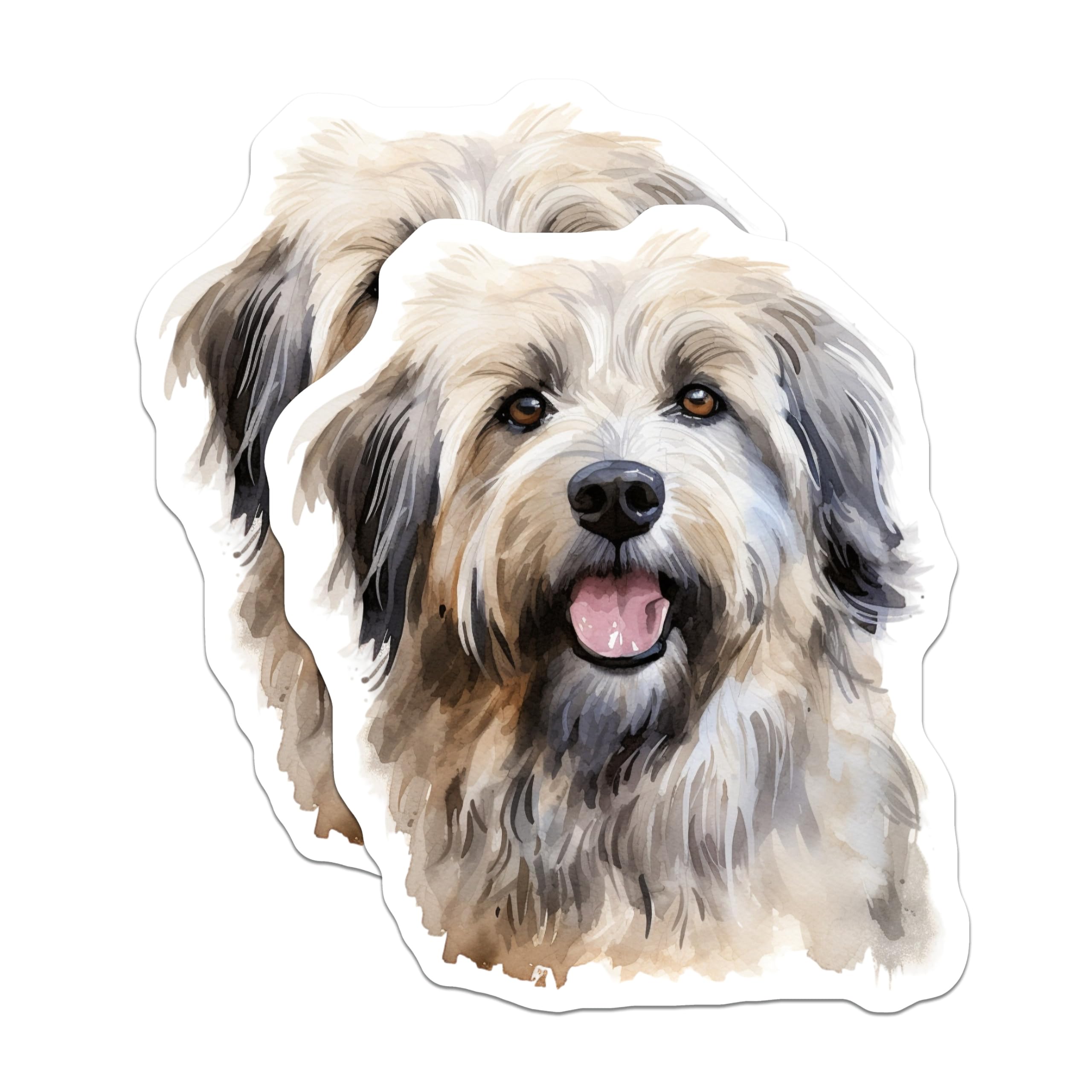 (2 Pack) Watercolor Dog Magnets - Shaggy Dog Lover Decor - Pet Parent Kitchen Home Accents - 5 Inches On Longest Side - Thick Durable Magnet - Made in USA - MAG29357