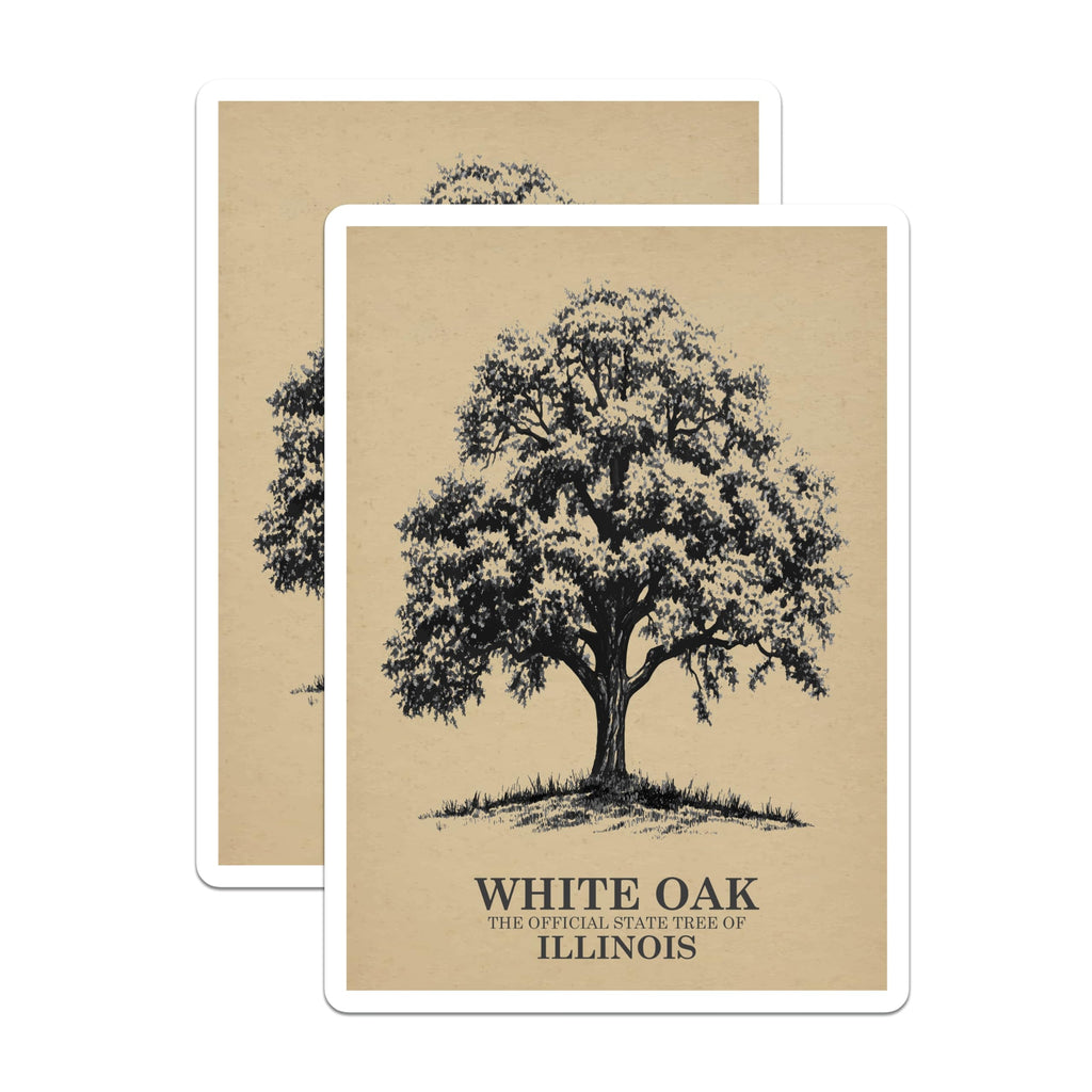 (2 Pack) White Oak Magnets - Illinois State Tree - Nature Decor Magnets - 5" On Longest Side - Premium Magnet - for Cars, Refrigerators, Toolboxes, Lockers - Made in USA - MAG18181