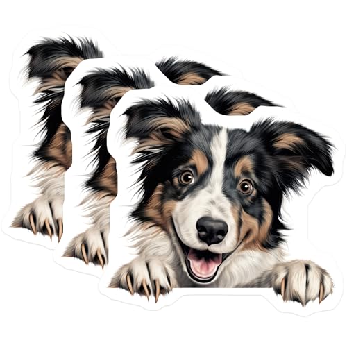 (3 Pack) Australian Shepherd Decals - Dog Breed Stickers - Laptop Decals - 3 Inches On Longest Side - Easy Peel & Apply - Made in USA - 3MCS8703