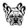 (2 Pack) French Bulldog Magnets - Frenchie Dog Decor - Animal Lover Refrigerator Locker - 5 Inches On Longest Side - Thick Durable Magnet - Made in USA - MAG37155