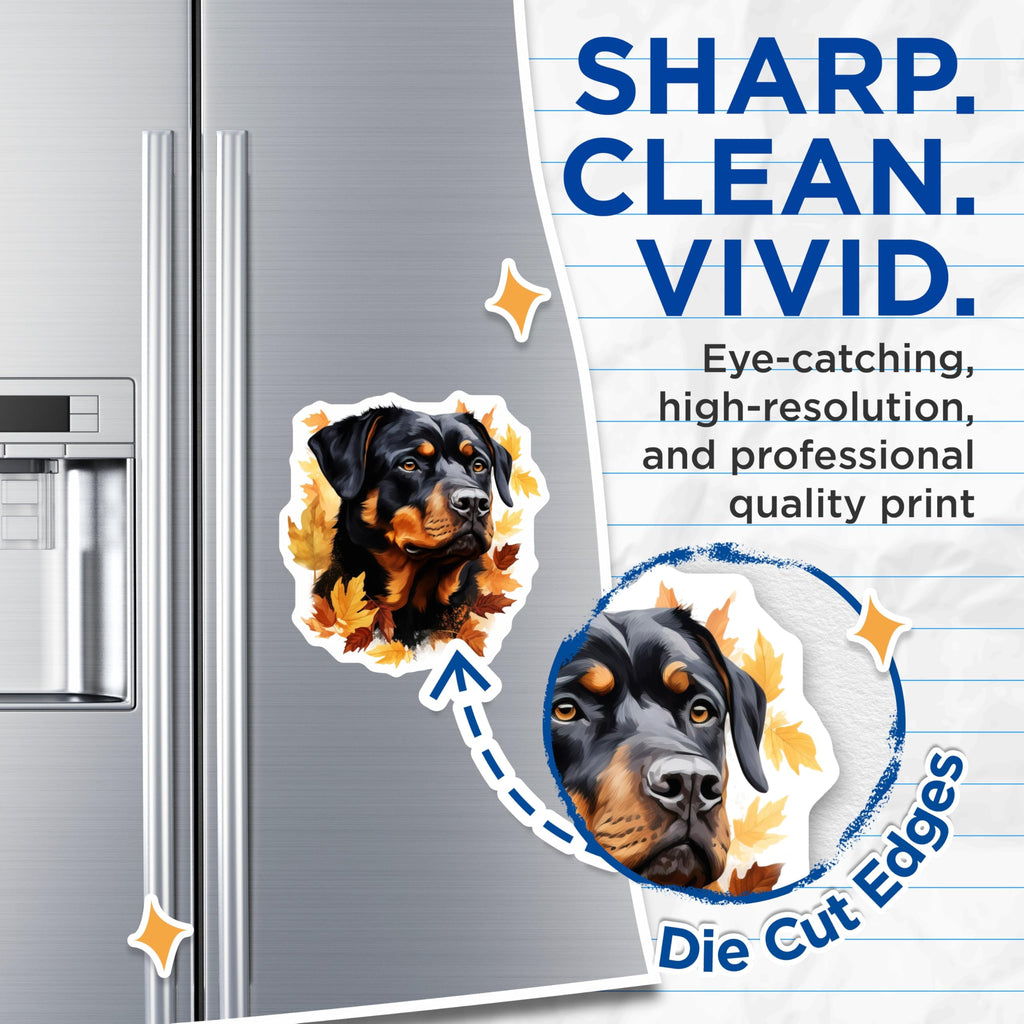 (2 Pack) Rottweiler Magnets - Autumn Fall Leaves Dog Art - Canine Pet Lover Decor - 5 Inches On Longest Side - Thick Durable Magnet - Made in USA - MAG24633
