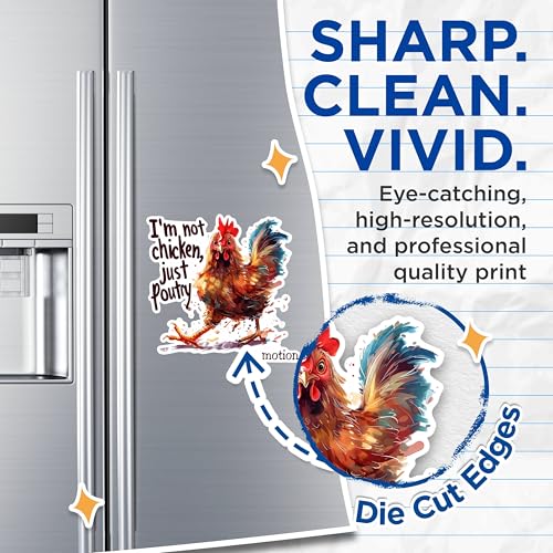(2 Pack) Funny Chicken Magnets - I'm Not Chicken Just Poultry in Motion Magnets - Humorous Kitchen Decor Magnets- 5" On Longest Side - for Fridges, Toolboxes, Cars - Made in USA - MAG2599