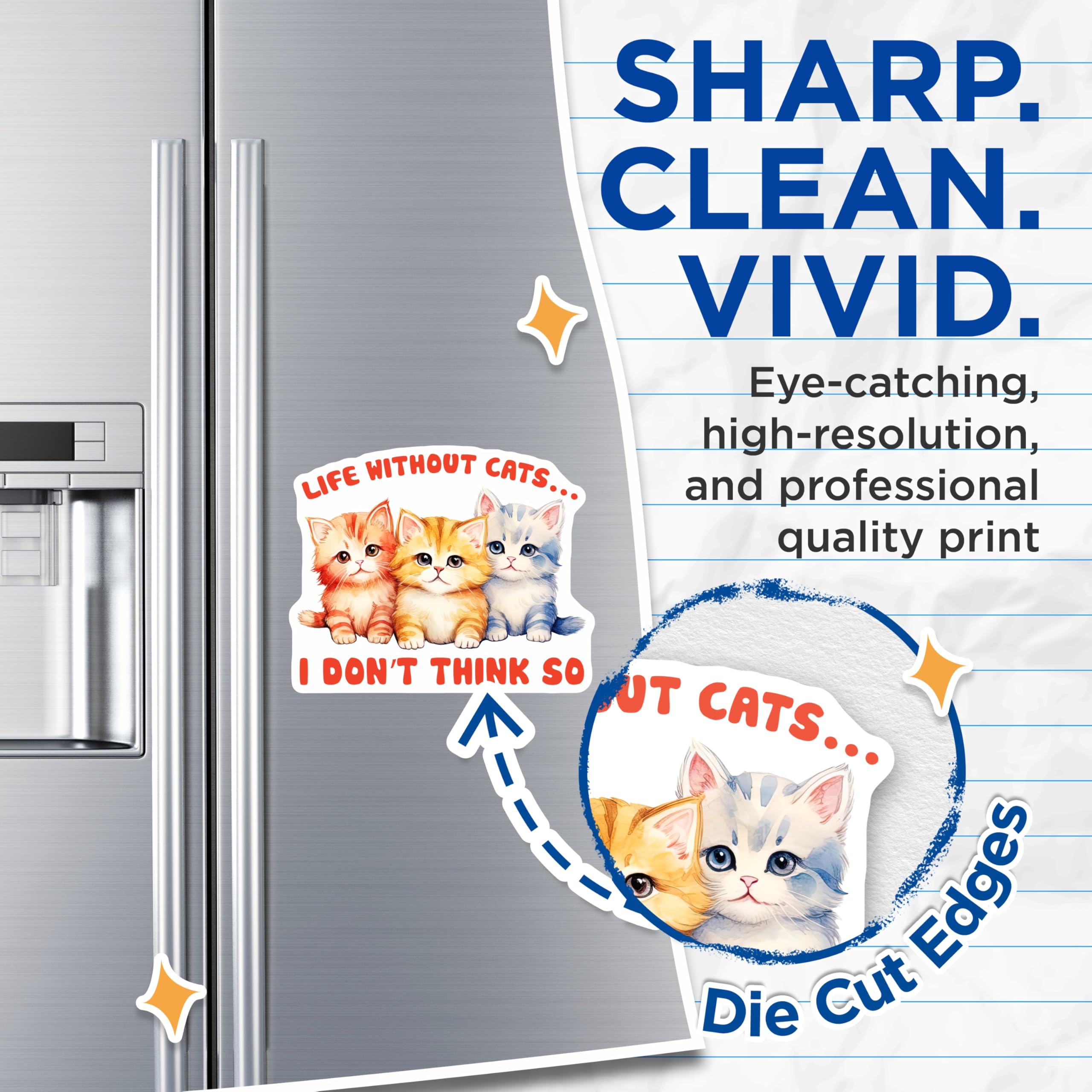 (2 Pack) Kitten Magnets - Cute Cat Magnet - Refrigerator Magnet - 5" On Longest Side - Premium Magnet - for Cars, Refrigerators, Toolboxes, Lockers - Made in USA - MAG15974