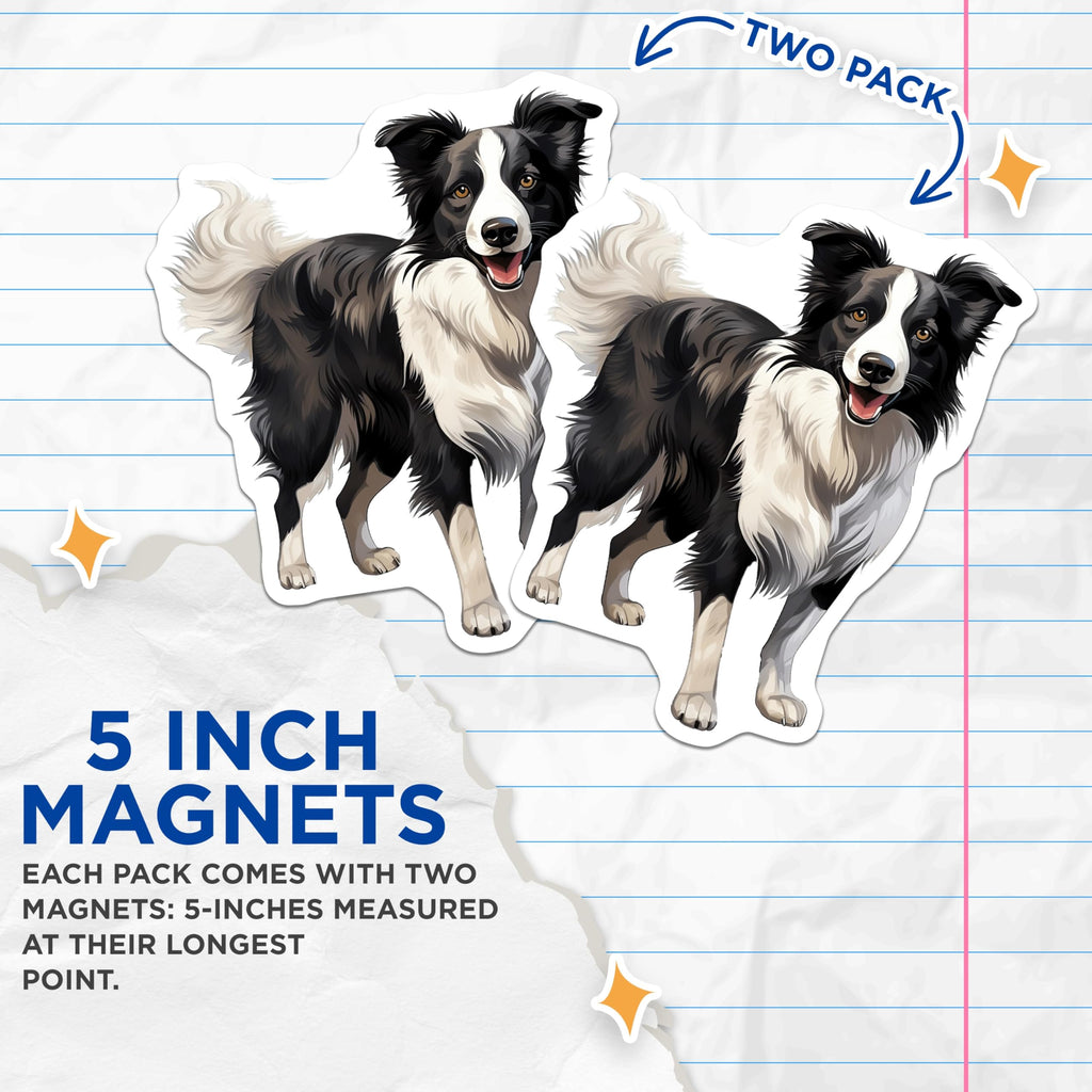 (2 Pack) Border Collie Magnets - Dog Lover Fridge Decor - Pet Owner Car Accessory - Canine Art Collector Item - 5 Inches On Longest Side - Thick Durable Magnet - Made in USA - MAG28560